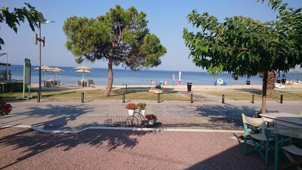 Aristea's House * Nikiti (Sithonia)